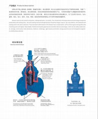 弹性座封闸阀