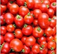番茄紅素