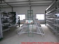 commercial chicken cage