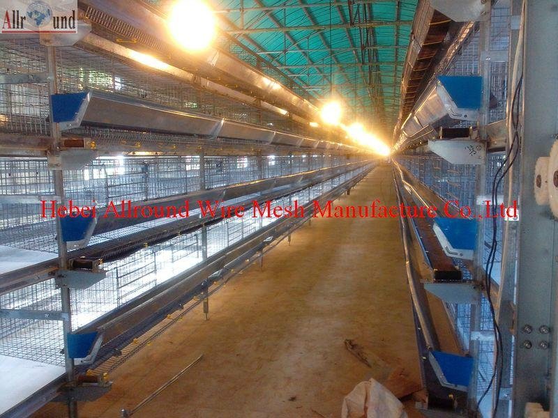 automatic poultry battery cages 2