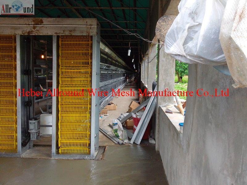 automatic poultry battery cages 4