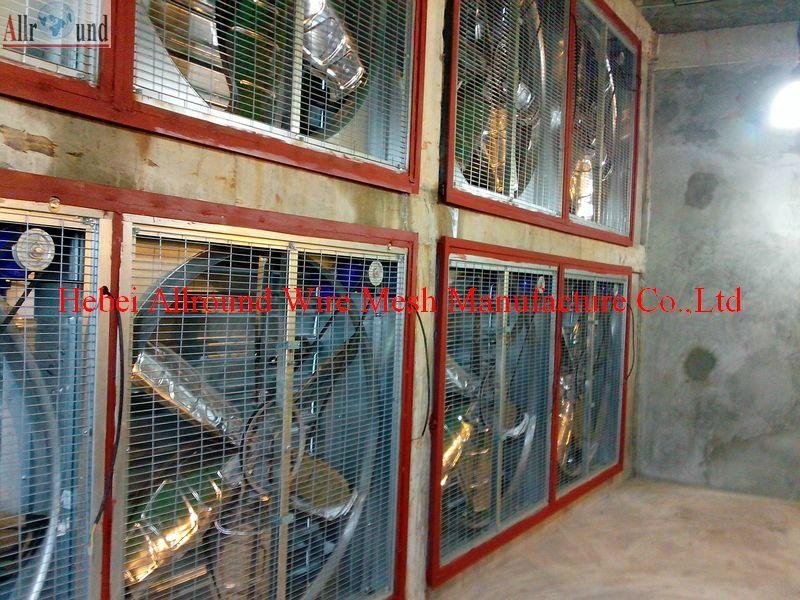 automatic poultry battery cages 5