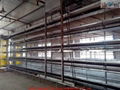 battery cages for layers 2