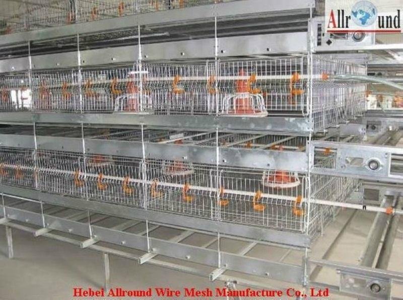 new design broiler cage
