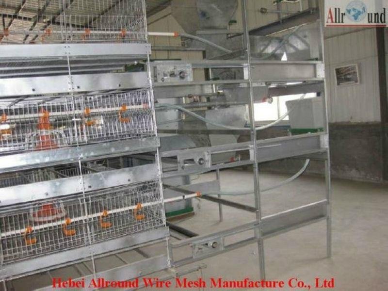 new design broiler cage 2