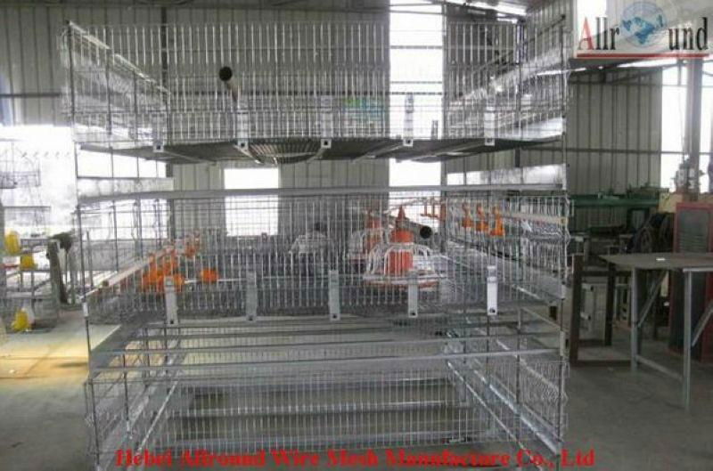 new design broiler cage 4