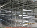 automatic poultry layers cages systems 1