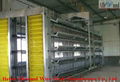 automatic poultry layers cages systems 2