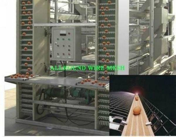 layer poultry cages for nigeria/africa 5