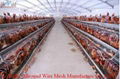 egg laying cages for poultry 3