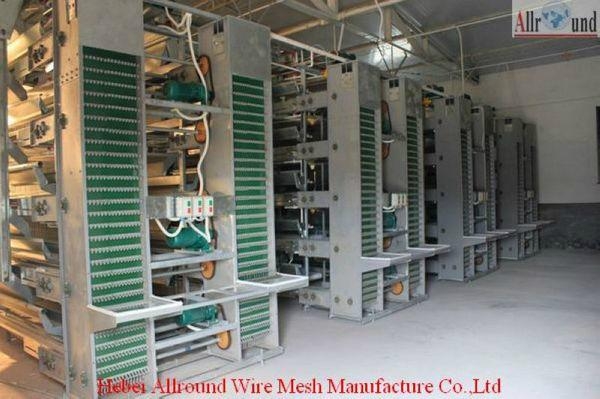 automatic poultry raising equipment