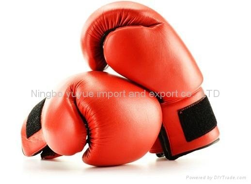 boxing glove 2