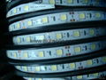 led flexible strip light SMD5050 60 leds waterproof led strips 2