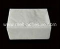 Excellent Hot Melt Adhesive for Sticky