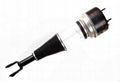 Front Air suspension strut for JAGUAR 