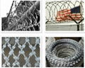 Razor Wire 2