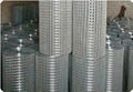 Welded Wire Mesh