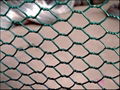 Hexagonal Wire Mesh