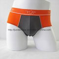 Men's Briefs 1