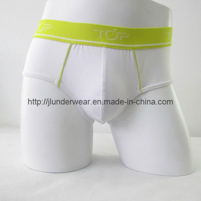 Men's Briefs 2