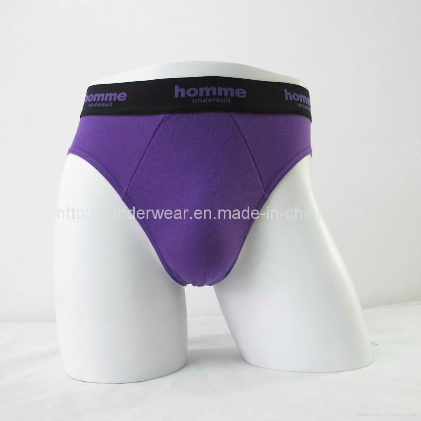 Men's Briefs 4