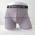 HotBoxer Shorts 3