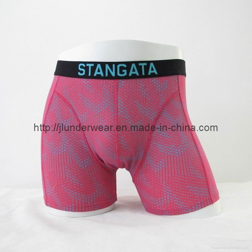 HotBoxer Shorts 5