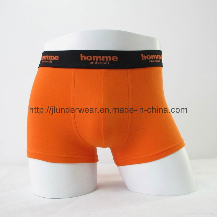 Hot Boxer Shorts 2