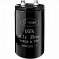 Aluminum Electrolytic Capacitor