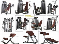 Rotary torso fitness equipment