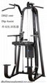 DHZ Dip/Chin Assist fitness equipment