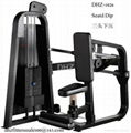 DHZ Seated Dip Fitness Equipment