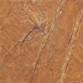 marble floor  tiles  5