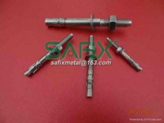 Stainless Steel Through Bolt/Inox Wedge Anchor