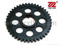 TIMING GEAR