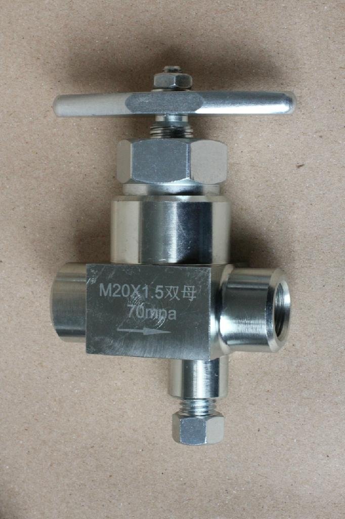 Globe valve 2