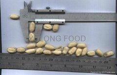 blanched peanut kernels 