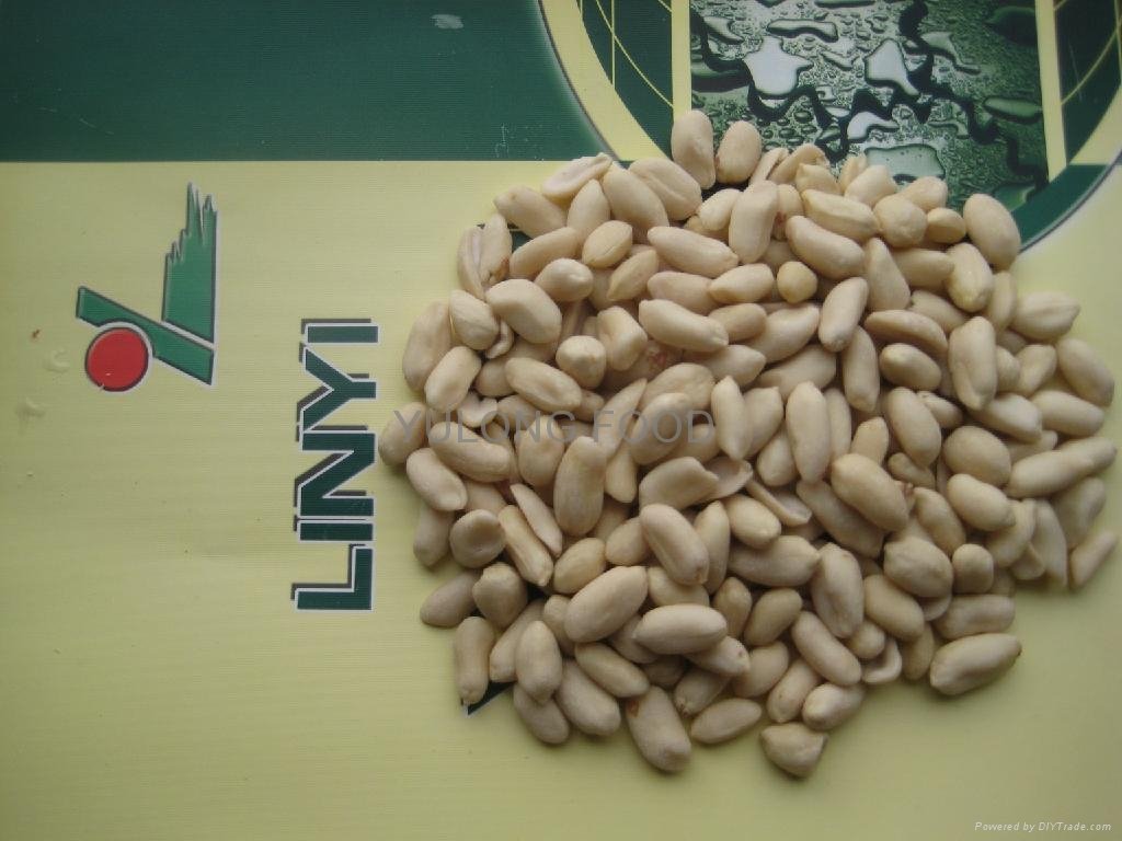 blanched peanut kernels  2
