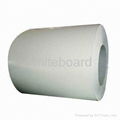 Steel Coils for Whiteboard, Green Board, Blackboard  3