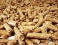 Wood Pellets for Energy and Heating Systems 1