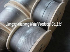 AISI316 7X19 3.0mm Stainless Steel Wire Rope