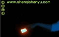 Butterfly LED Flashing Stick 4