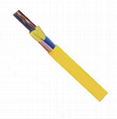GJFHJV (Indoor Branch Fiber Optical Cable) 2