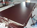high quality brown film faced plywood 2