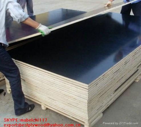 hardwood black film faced plywood