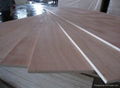 construction plywood