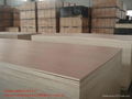 construction plywood 2