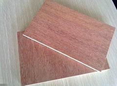 FSC red face poplar plywood