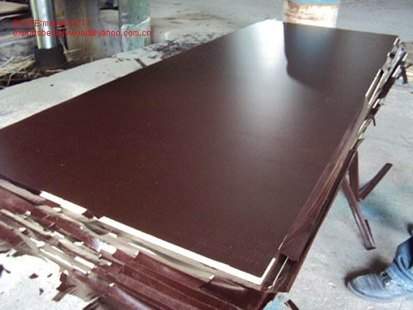 waterproof shuttering film faced plywood for custruction
