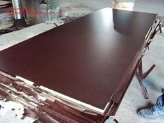 waterproof shuttering film faced plywood